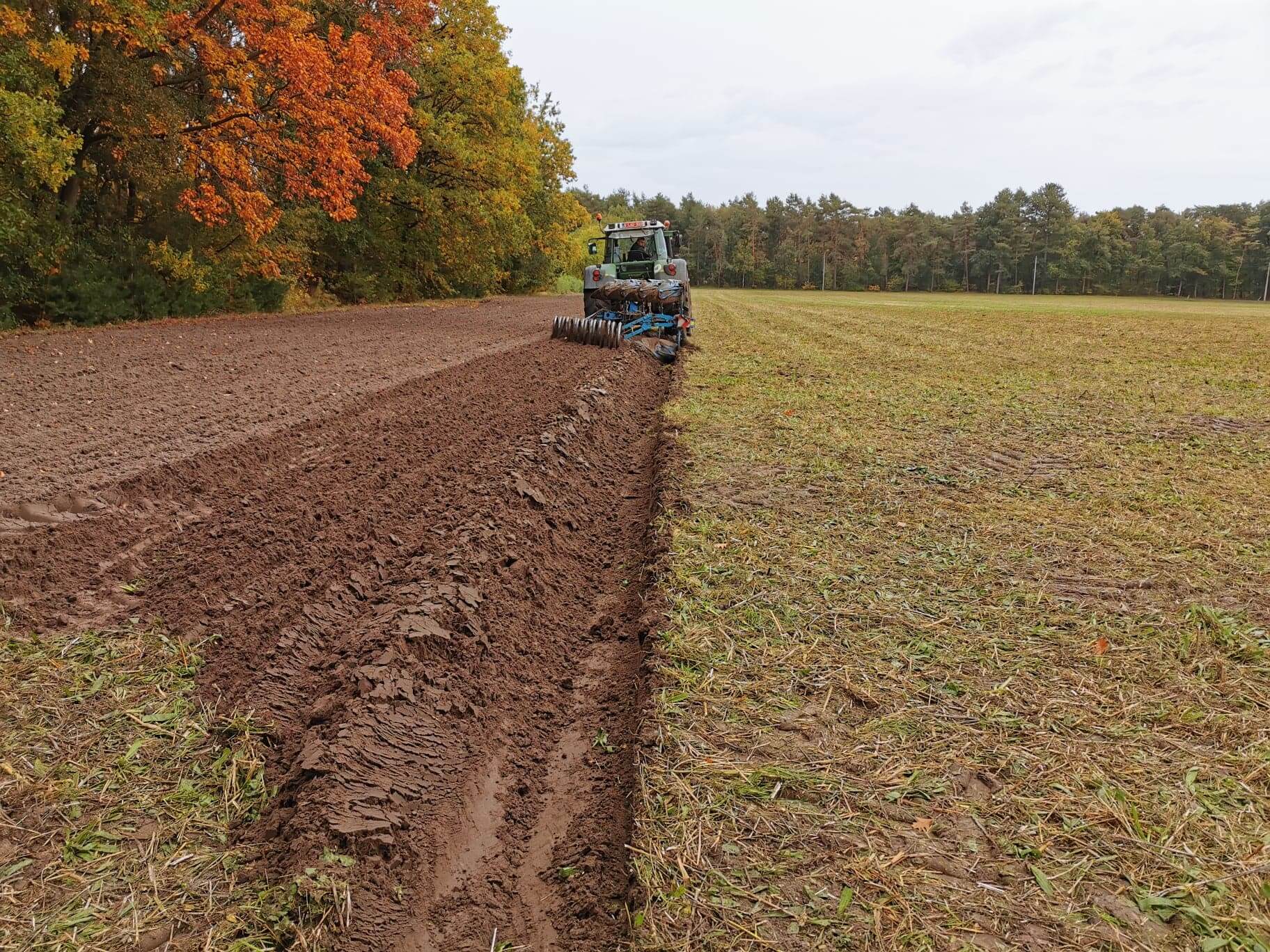 Boomplantactie Den Diel Dessel